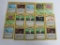 Lot of 15 ALL 1st Edition VINTAGE Pokemon Trading Cards