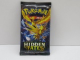 Factory Sealed Pokemon HIDDEN FATES 10 Card Booster Pack