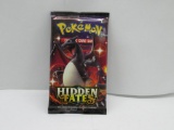 Factory Sealed Pokemon HIDDEN FATES 10 Card Booster Pack