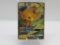 Pokemon Card Hidden Fates Black Star Promo Raichu sm213