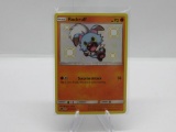 Pokemon Card Hidden Fates Shiny Rockruff