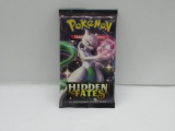 Factory Sealed Pokemon HIDDEN FATES 10 Card Booster Pack - Shiny Charizard GX?