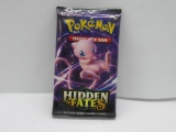 Factory Sealed Pokemon HIDDEN FATES 10 Card Booster Pack - Shiny Charizard GX?