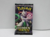 Factory Sealed Pokemon HIDDEN FATES 10 Card Booster Pack - Shiny Charizard GX?