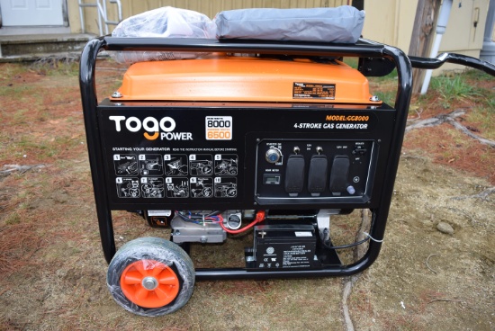 NEW Togo Power 4-Stroke Gas Generator