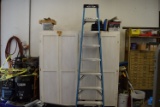 Werner 8 Foot Ladder