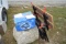 CMT 7 IN Bench Top Tile Saw