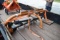 Woods 1130 Post Hole Digger