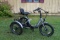LECTRIC XP Trike