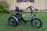 LECTRIC XP Trike