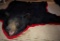 Huge black bear rug