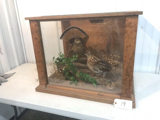 2 Rough Grouse in glass case