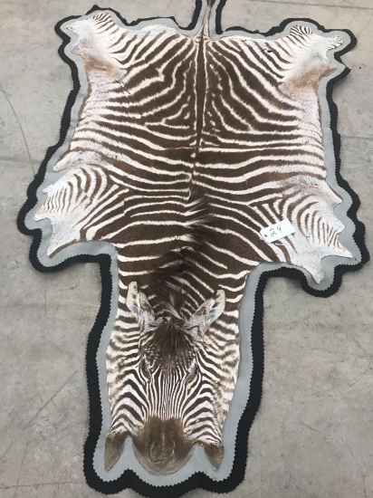 Zebra Rug