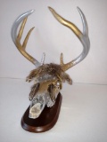 Gold and silver deer skull on plaque