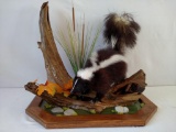 Bushy-tailed skunk on Driftwood
