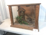 2 Rough Grouse in glass case
