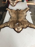 Bobcat rug