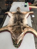 Coyote rug