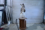 Zebra head on pedestal