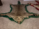 Leopard rug . It has missing left ear, tears in all legs by claws . It has all claws, OH BUYERS ONLY