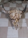 Bull skull