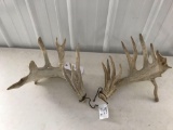 Whitetail sheds 235?