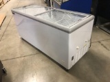 27?x72? chest display freezer