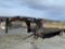 24 ft Sure Trac trailer