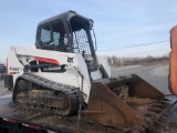 Bobcat