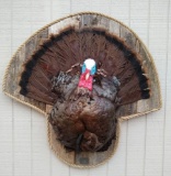 Half mount turkey