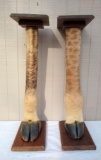 A pair of giraffe legs