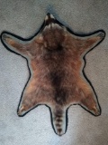 Raccoon rug
