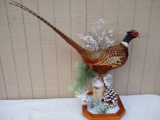 Pheasant in snow scene