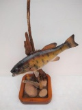 Small mouth bass on driftwood, deluxe resin base