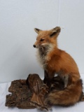 Red Fox and Grouse mount