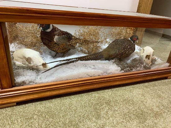 To pheasants with two black bear skulls in a case