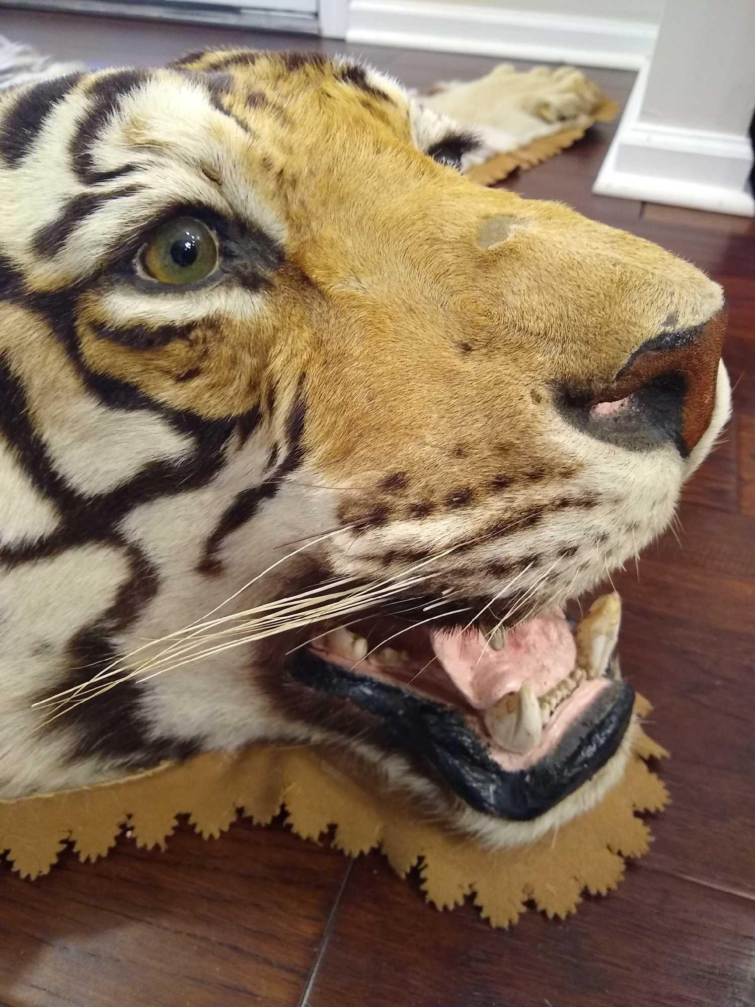Bengal Tiger Balmedie Takeaway