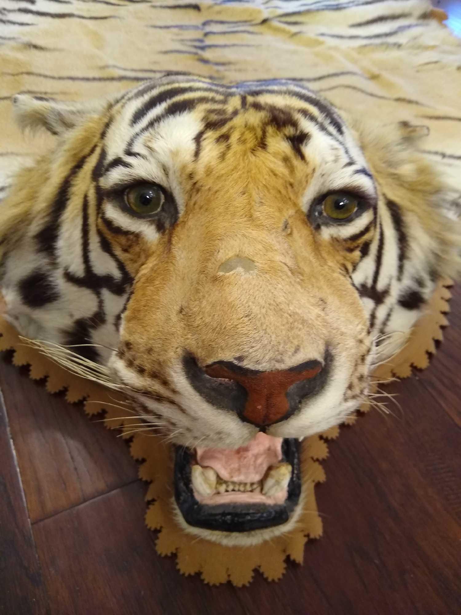 Bengal Tiger Balmedie Takeaway