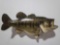 LARGEMOUTH BASS HIGH END REAL SKIN TAXIDERMY FISH MOUNT