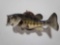 LARGEMOUTH BASS HIGH END REAL SKIN TAXIDERMY FISH MOUNT