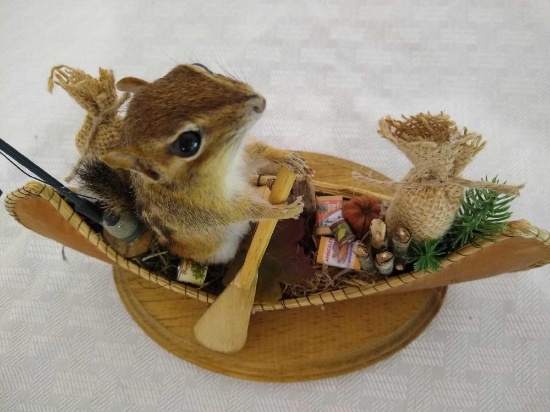 Chipmunk in Canoe