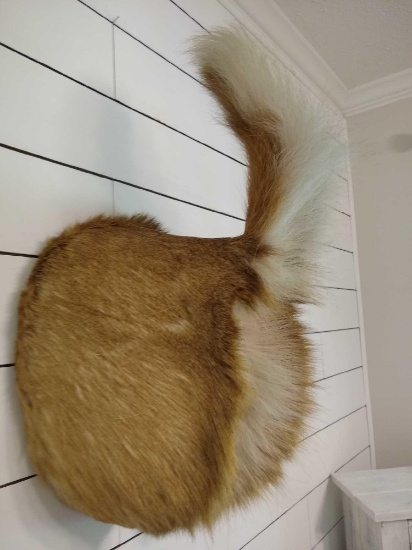 Deer Rump