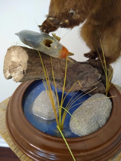 Mink & Blue Gill
