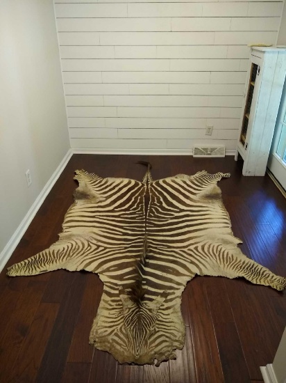 Zebra Rug
