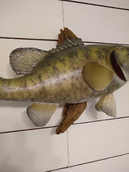 Small Mouth Bass