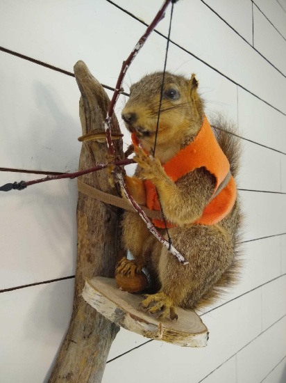 Fox Squirrel