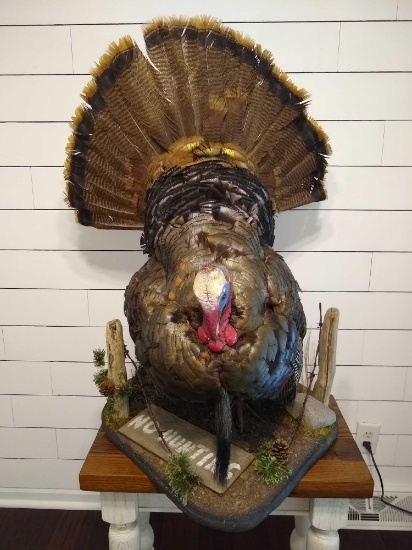 Turkey