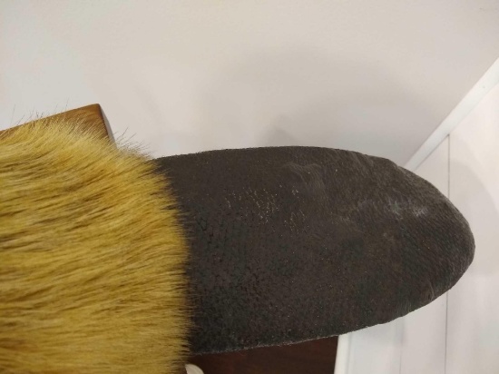 Beaver