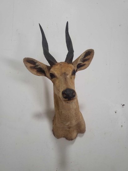BUSHBUCK TAXIDERMY SHOULDER MOUNT