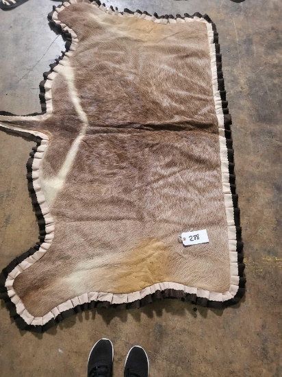 WATERBUCK TAXIDERMY RUG MOUNT